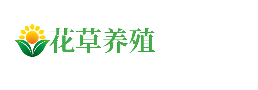 泵阀设备|石家庄泵阀设备|石家庄兹格恩沃泵阀设备有限公司